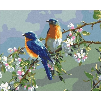 zuty Malování podle čísel Ptáčci 50 x 40 cm vypnuté plátno na rám
