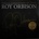 Roy Orbison - The Ultimate Collection 2 LP