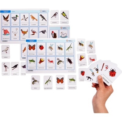 Учител bg Глобално четене Животните 2 - 99 карти