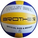 Brother VS501S VOLLEY TRAINING
