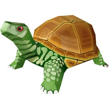 Image 1 of Сухоземна костенурка