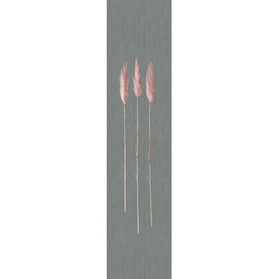 Marburg 33271 Vliesová fototapeta, steblá trávy, rozmery 0,7 x 3,3 m
