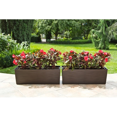 Nohel Truhlík samoz.BEGONIA vrub mokka 56x19x19 cm