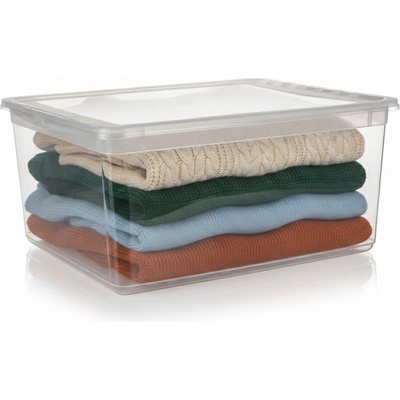 Plastový svět Basixx Plastový box s vekom 39 x 33,5 x 18 cm priehľadný