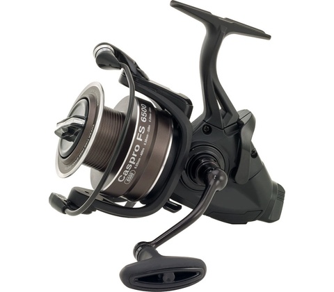 Ryobi Caspro FS 2500