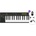Behringer Swing Set