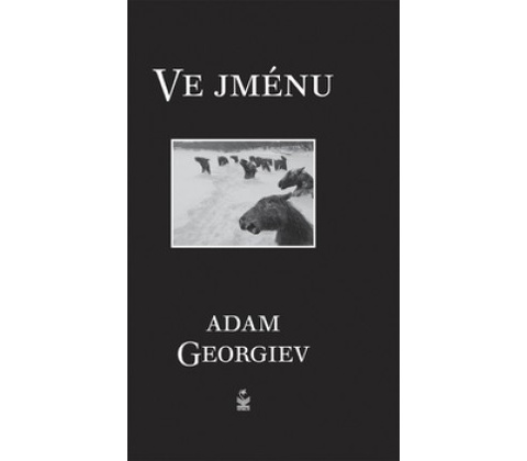 Ve jménu