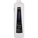 Barvy na vlasy L'Oréal Diactivateur aktivační emulze 6 vol. 1,8% Activator 1000 ml