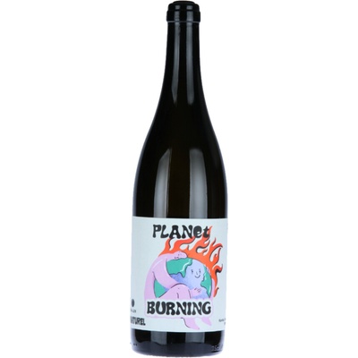 Vinařství rodiny Špalkovy PLANET BURNING 2024 10,5% 0,75 l (holá láhev)