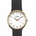 Arabians DPP2197N