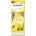 Dr. MARCUS SONIC Fresh Lemon