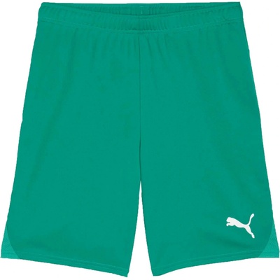 Puma TEAMGOAL SHORTS