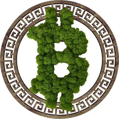 MACHOVÝ DREVENÝ BITCOIN OBRAZ - 40cm, Palisander