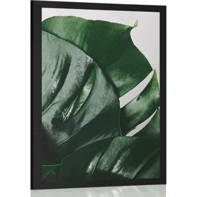 Plakát listy monstery - 20x30 silver