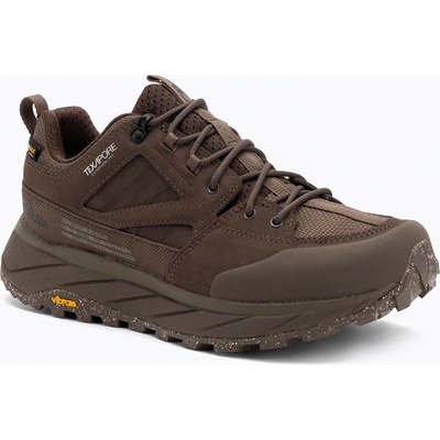 Jack Wolfskin Мъжки обувки за трекинг Jack Wolfskin Terraquest Texapore Low gecko bear