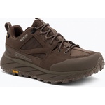 Jack Wolfskin Мъжки обувки за трекинг Jack Wolfskin Terraquest Texapore Low gecko bear