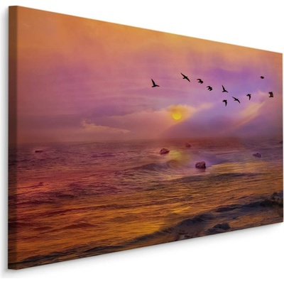 Plátno Ptáci Nad Oceánem Varianta: 70x50