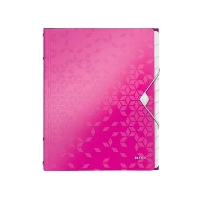 Leitz Esselte Briefcases with 12 compartments Leitz Wow pink (4634-00-23)