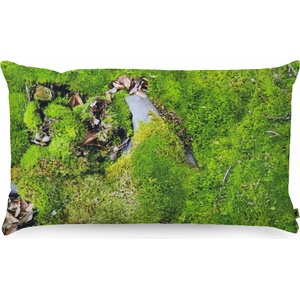 Foonka Възглавница с люспи от елда Foonka горски мъх 50 x 30 см (pg-50-m)