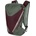 DYNAFIT Раница DYNAFIT Traverse 22 M/L sage/burgundy