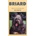 Briard