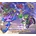 Freedom Planet