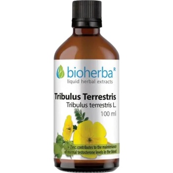 Bioherba Tincture Tribulus Terrestris [100 мл]