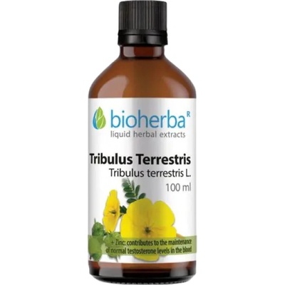 Bioherba Tincture Tribulus Terrestris [100 мл]