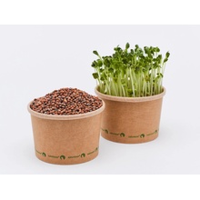 Tiny Greens Bílá ředkev - Daikon - BIO semínka na klíčení a microgreens Množství: 50g