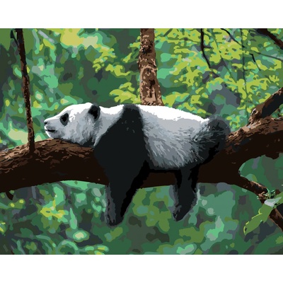 zuty Malování podle čísel Panda ležící na stromě 80 x 100 cm vypnuté plátno na rám