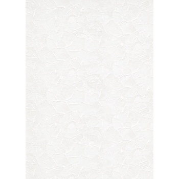 DIMEX ART s. r. o Презаписваем влизолинов тапет за стена wpe-901034