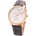 Arabians DPP2197R2