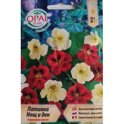 Opal Zi Латинка нощ и ден (ниска)