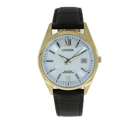 Citizen AS2053-11A