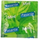 Pasante Mint 1 ks