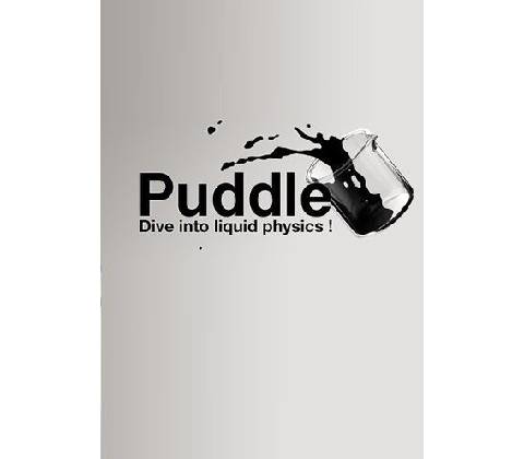 Puddle