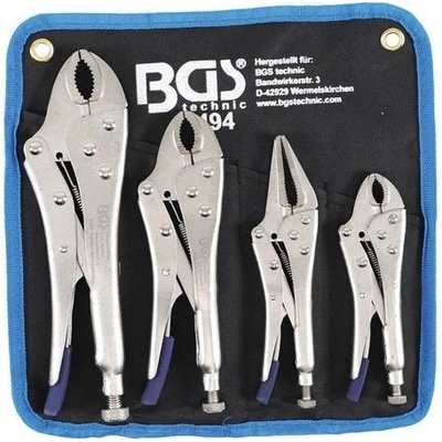 BGS 494