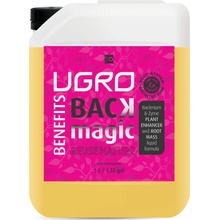 UGroBenefits Back Magic 5 l