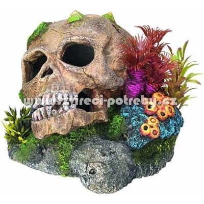 Nobby Lebka 13,5x13,5x10,5 cm