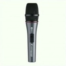 Sennheiser E865S