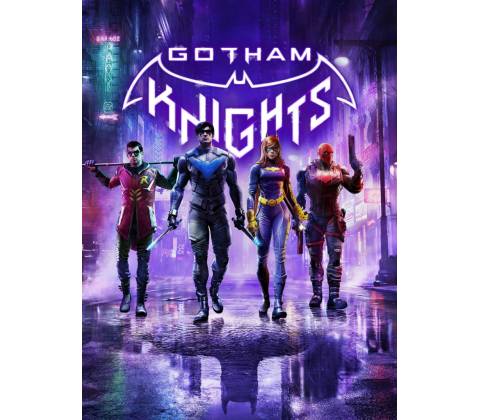 Gotham Knights