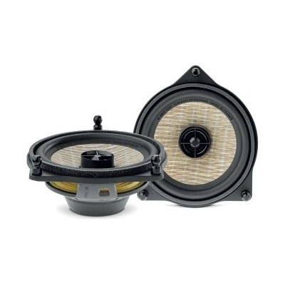 Focal IC MBZ 100 (IC MBZ 100)