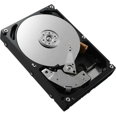 Dell 4TB SAS (161-BBHG)