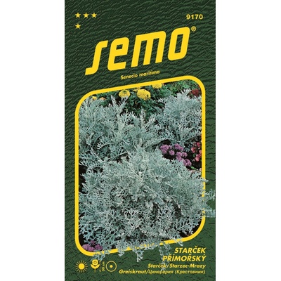 Semo Starček SILVERDUST