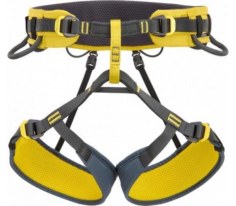 Climbing Technology Wall
