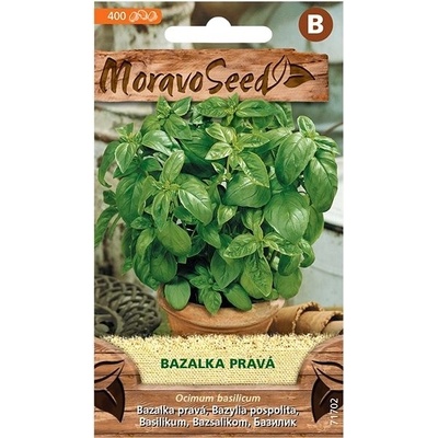 MORAVOSEED CZ Bazalka pravá, zelená