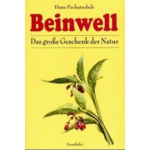 Beinwell | Hans Pechatschek (ISBN: 9783850682275)