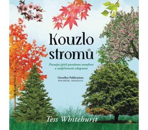 Kouzlo stromů