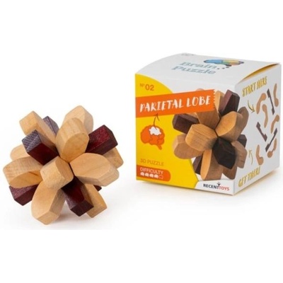 Recent Toys Мозъчен пъзел 1 - теменен дял