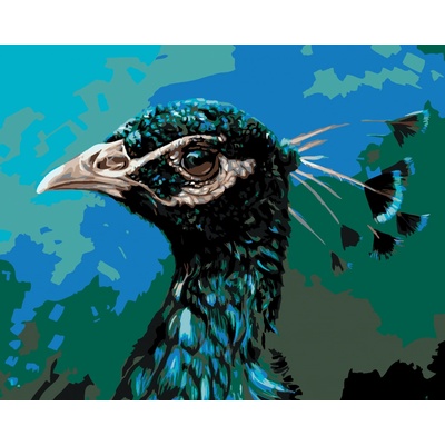 zuty Malování podle čísel Paví profil 100 x 80 cm vypnuté plátno na rám